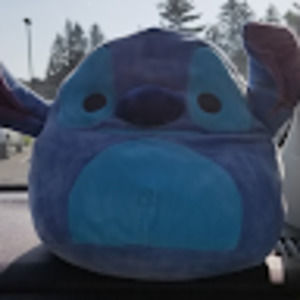 Meet your Posher, Connor